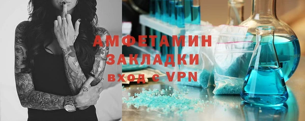 индика Иннополис