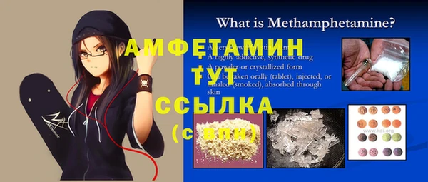 индика Иннополис