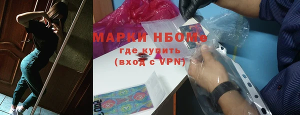 индика Иннополис