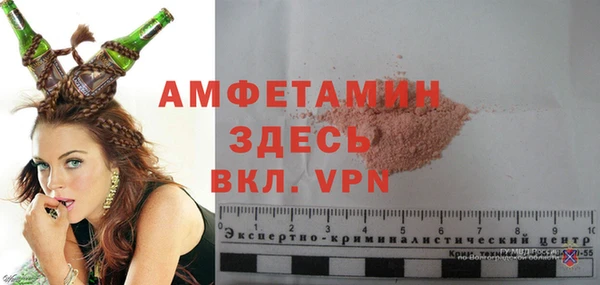 индика Иннополис