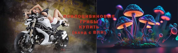 кокс Инта