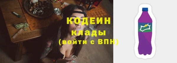 индика Иннополис