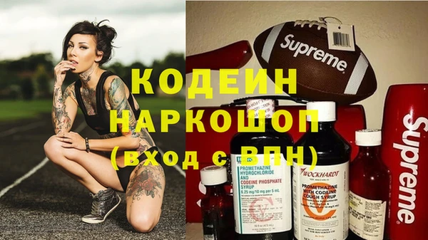 индика Иннополис