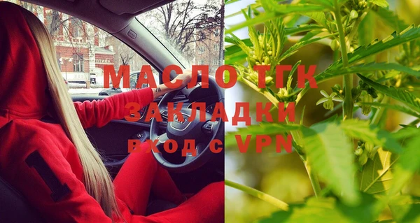 индика Иннополис